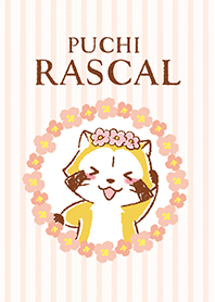 RASCAL☆FLOWER