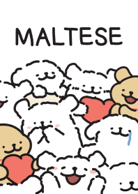 Maltese