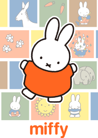 miffy สีสันสดใส