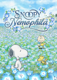 Snoopy ดอกเนโมฟีลา