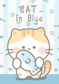 แมวส้มน่ารัก สีฟ้า!