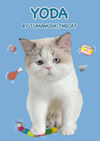 โยดา ( Tumamink.thecat )